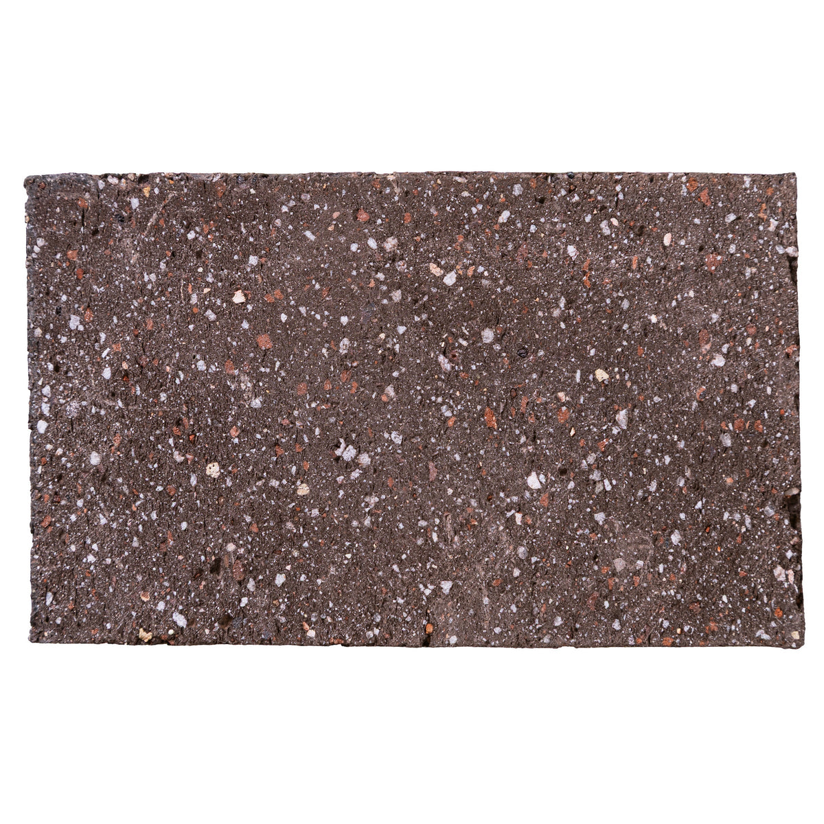 ARTO Artazzo Clay 2x4 Espresso