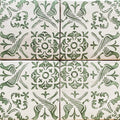 Motiff — COLOMBE-BASIL by Tabarka Studio