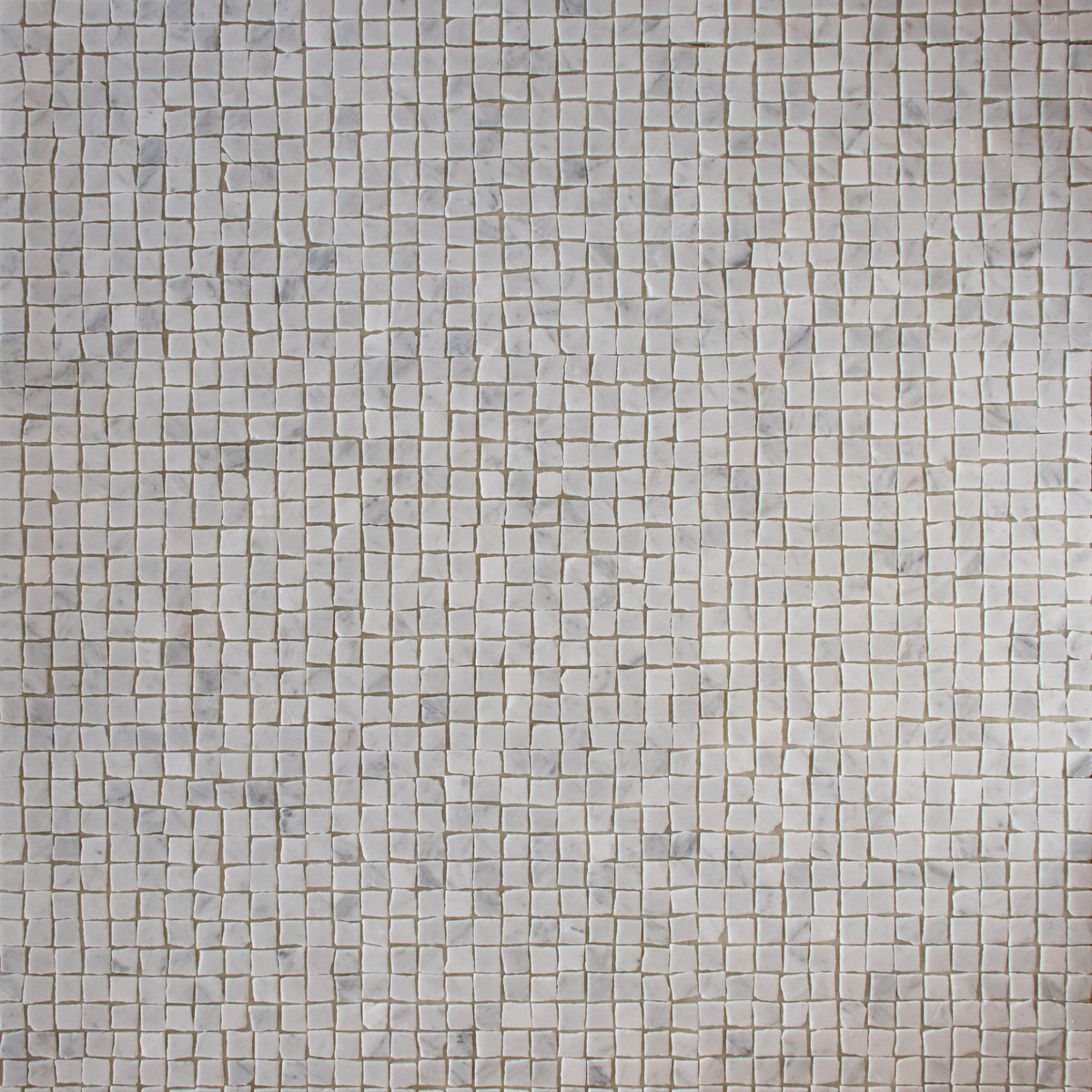 Dunya Stone 0001 Seashell by Tiles of Ezra