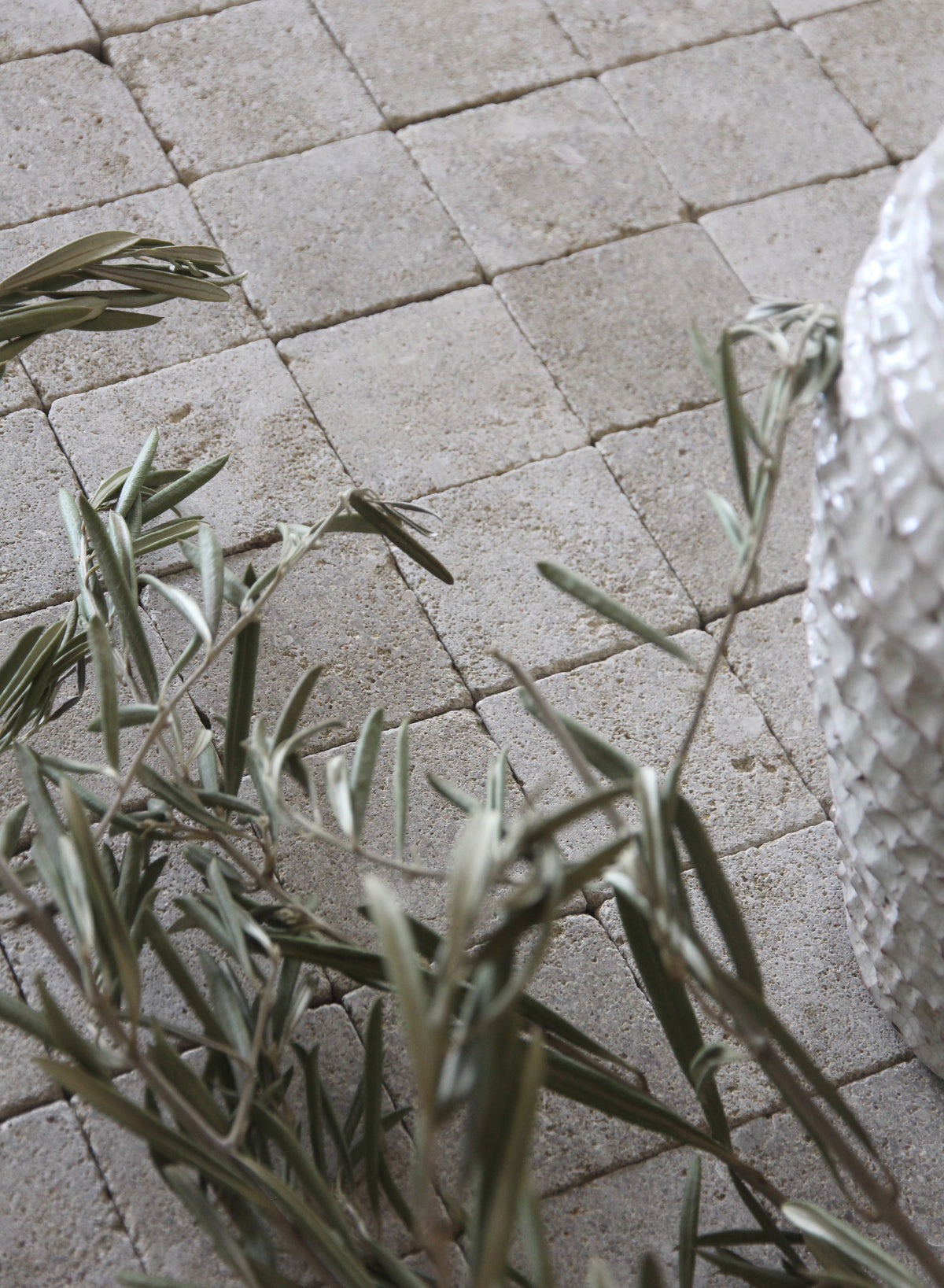 Moroccan Limestone Square Sahara by Tiles of Ezra