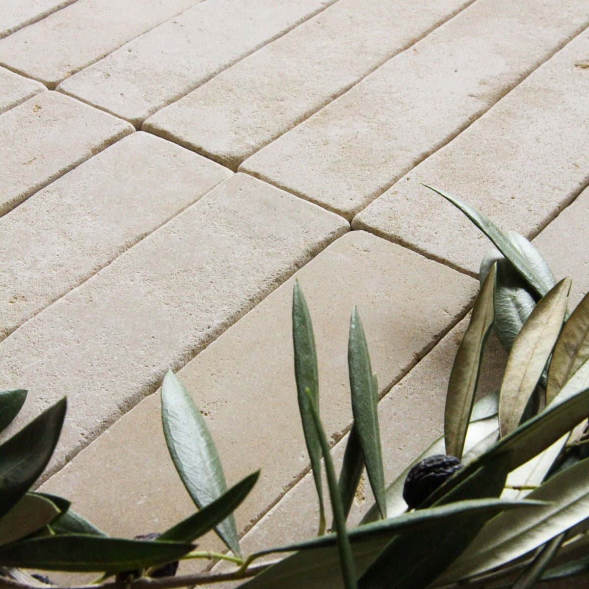 Moroccan Limestone Linear Meknes by Tiles of Ezra