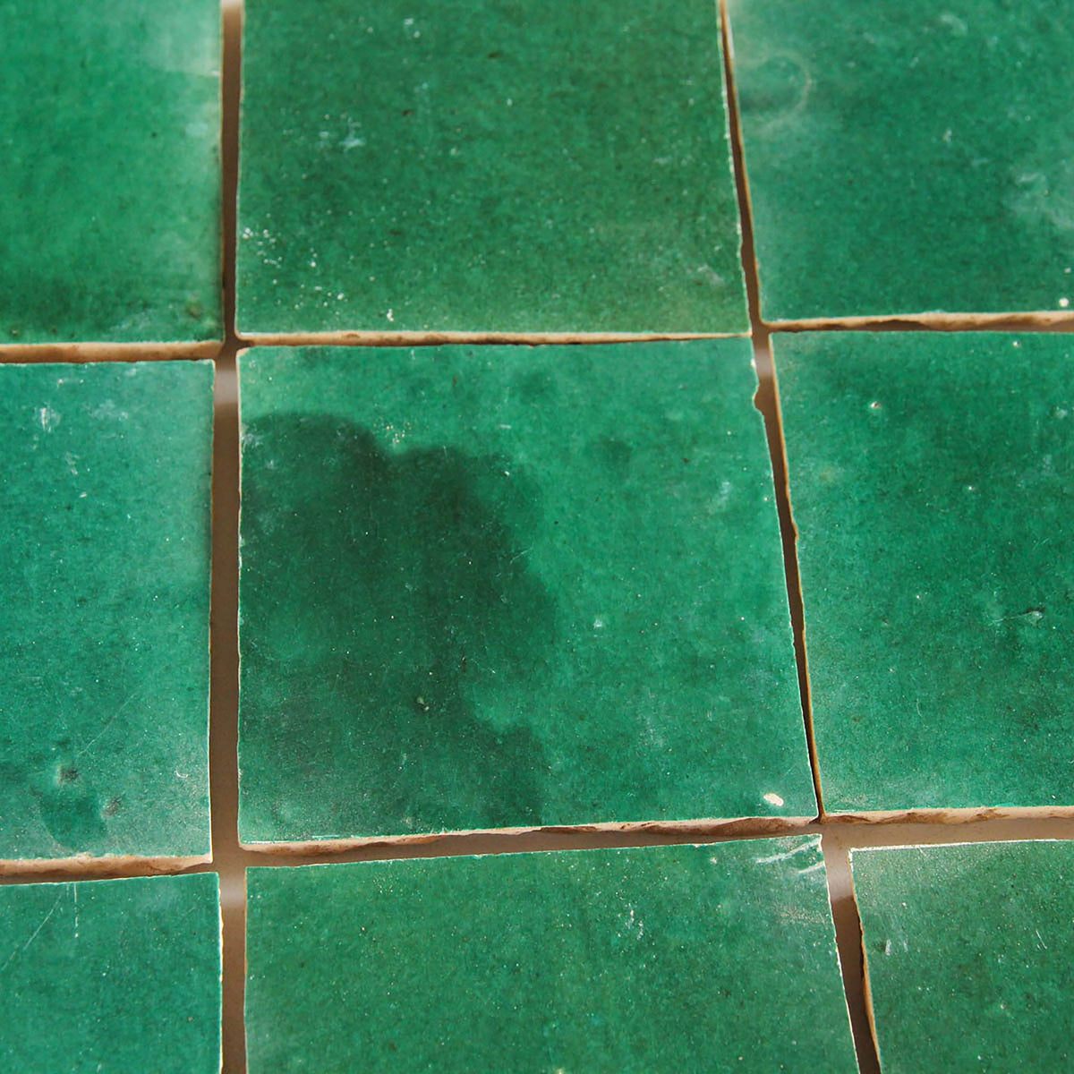 Moroccan Zellige Square Forest by Tiles of Ezra