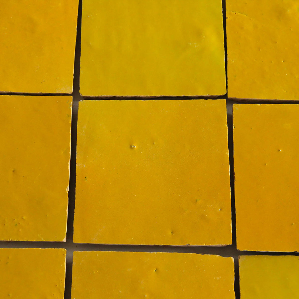 Moroccan Zellige Square Mustard by Tiles of Ezra