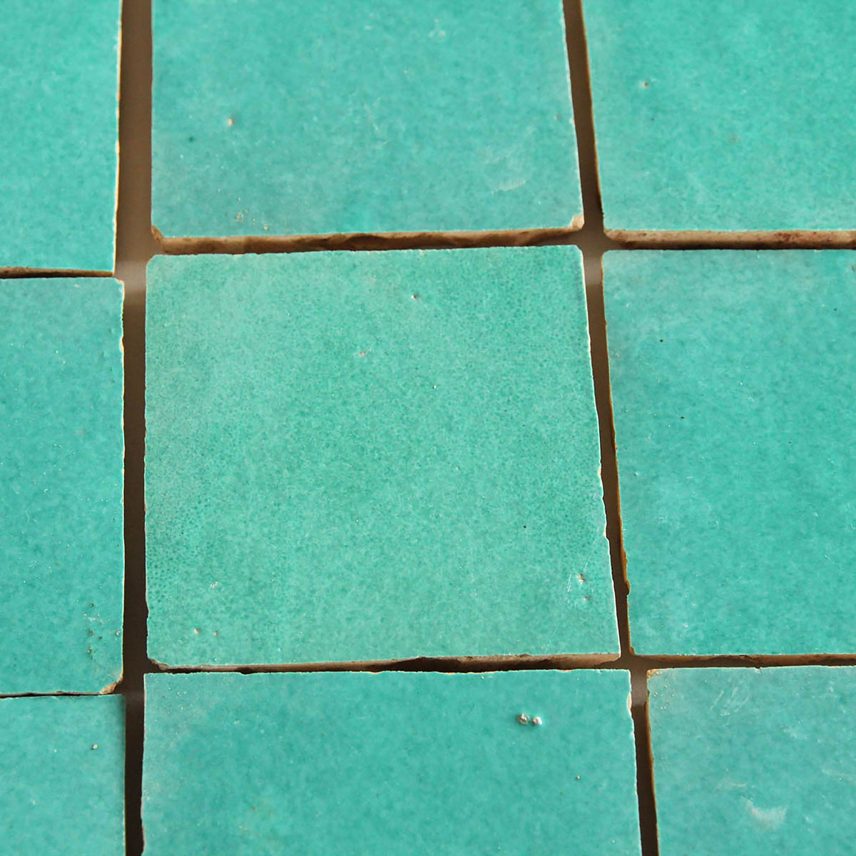 Moroccan Zellige Square Poseidon by Tiles of Ezra