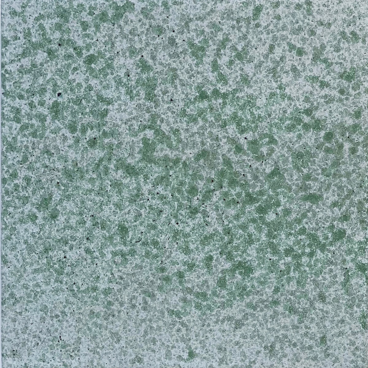 Motiff — SPECKLES-BASIL by Tabarka Studio