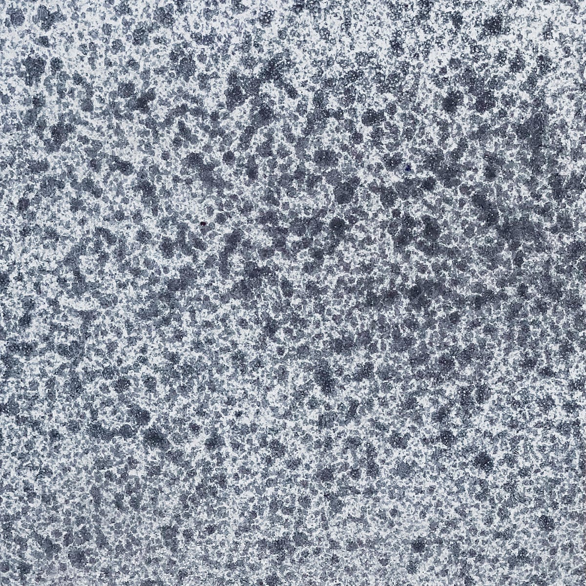 Motiff — SPECKLES-BLACK by Tabarka Studio