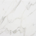 Calacatta Gold Extra Polished Marble Tile — 12 × 12 × 3/8 in