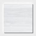 Bianco Dolomiti Classic Honed Marble Tile — 18 × 18 × 3/8 in
